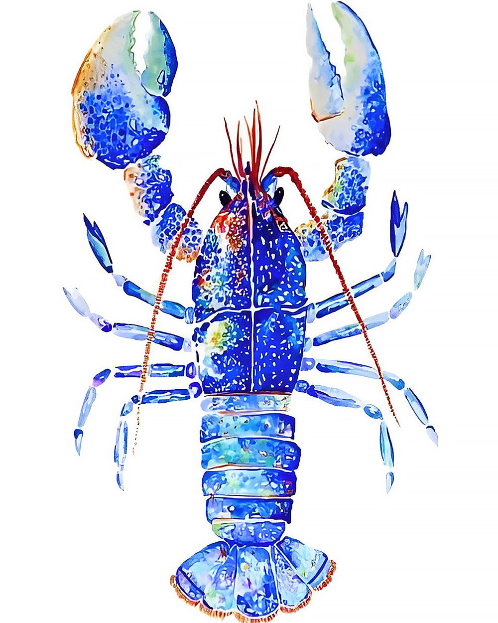 A blue lobster cross stitch kit for beginners