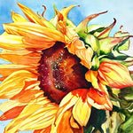 A golden sunflower in watercolour cross stitch kit for beginners