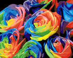 Abstract colourful roses paint by numbers kit for beginners