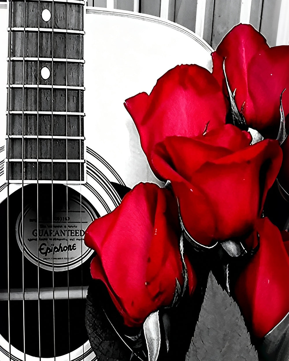 Acoustic guitar with red roses cross stitch kit for beginners