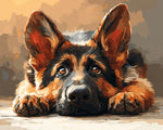 Adorable german shepherd puppy paint by numbers kit for beginners