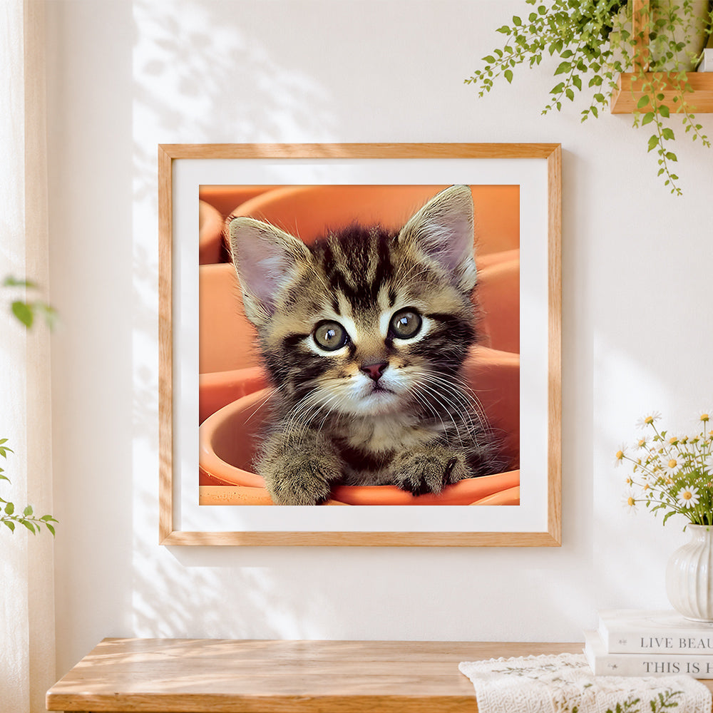 Finished adorable tabby kitten in orange pots cross stitch artwork displayed