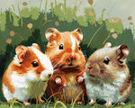 Adorable trio of hamsters in the grass paint by numbers kit for beginners