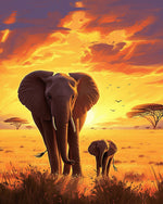 African elephants at sunset paint by numbers kit for beginners