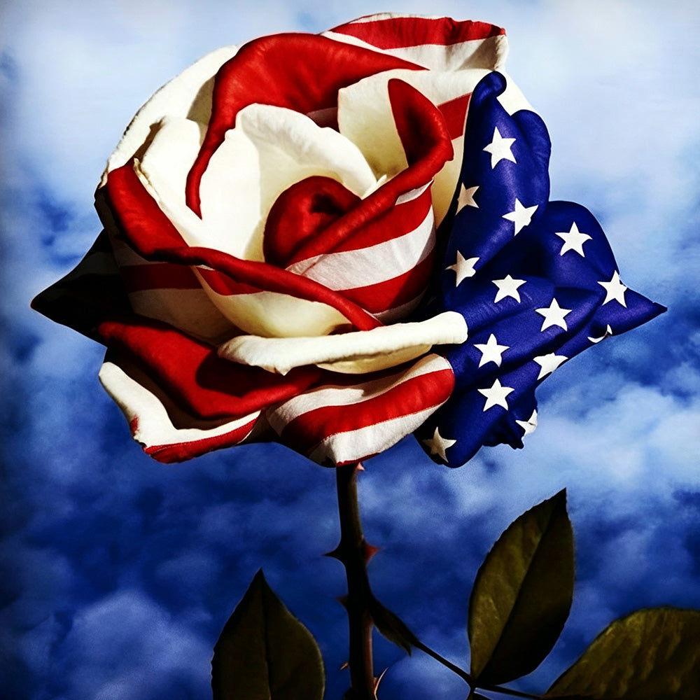 American flag rose cross stitch kit for beginners