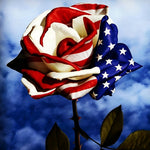 American flag rose cross stitch kit for beginners