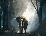 Atmospheric elephant in forest cross stitch kit for beginners