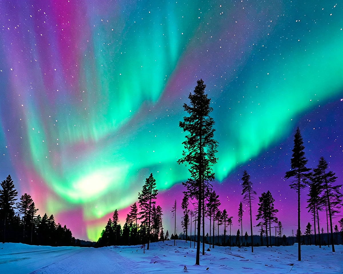 Aurora borealis over snowy forest cross stitch kit for beginners