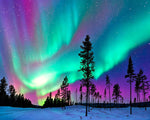 Aurora borealis over snowy forest paint by numbers kit for beginners