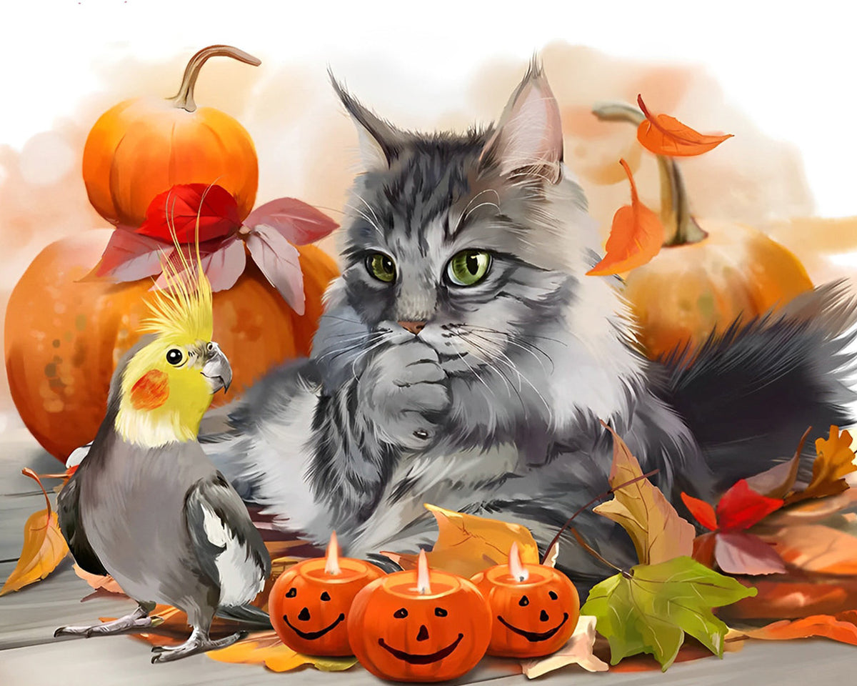 Autumn cat cockatiel and pumpkins paint by numbers kit for beginners