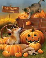 Autumn farmyard animals with pumpkin cart cross stitch kit for beginners
