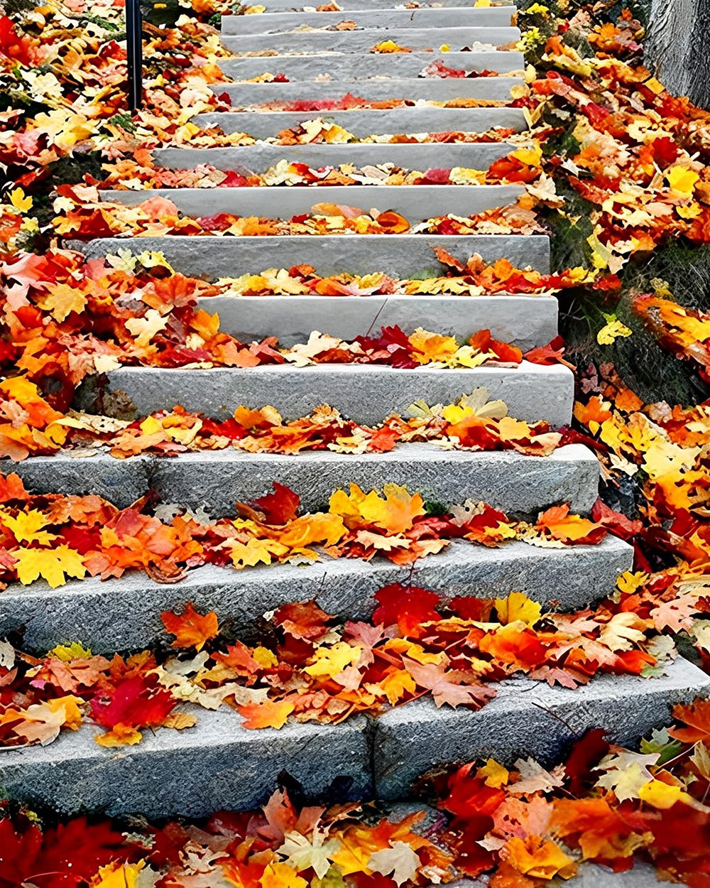 Autumn leaves on steps cross stitch kit for beginners