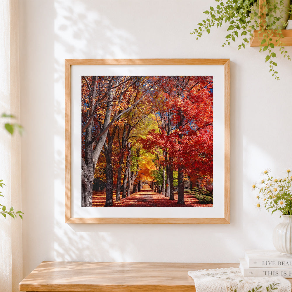 Finished autumn tree lined avenue cross stitch artwork displayed