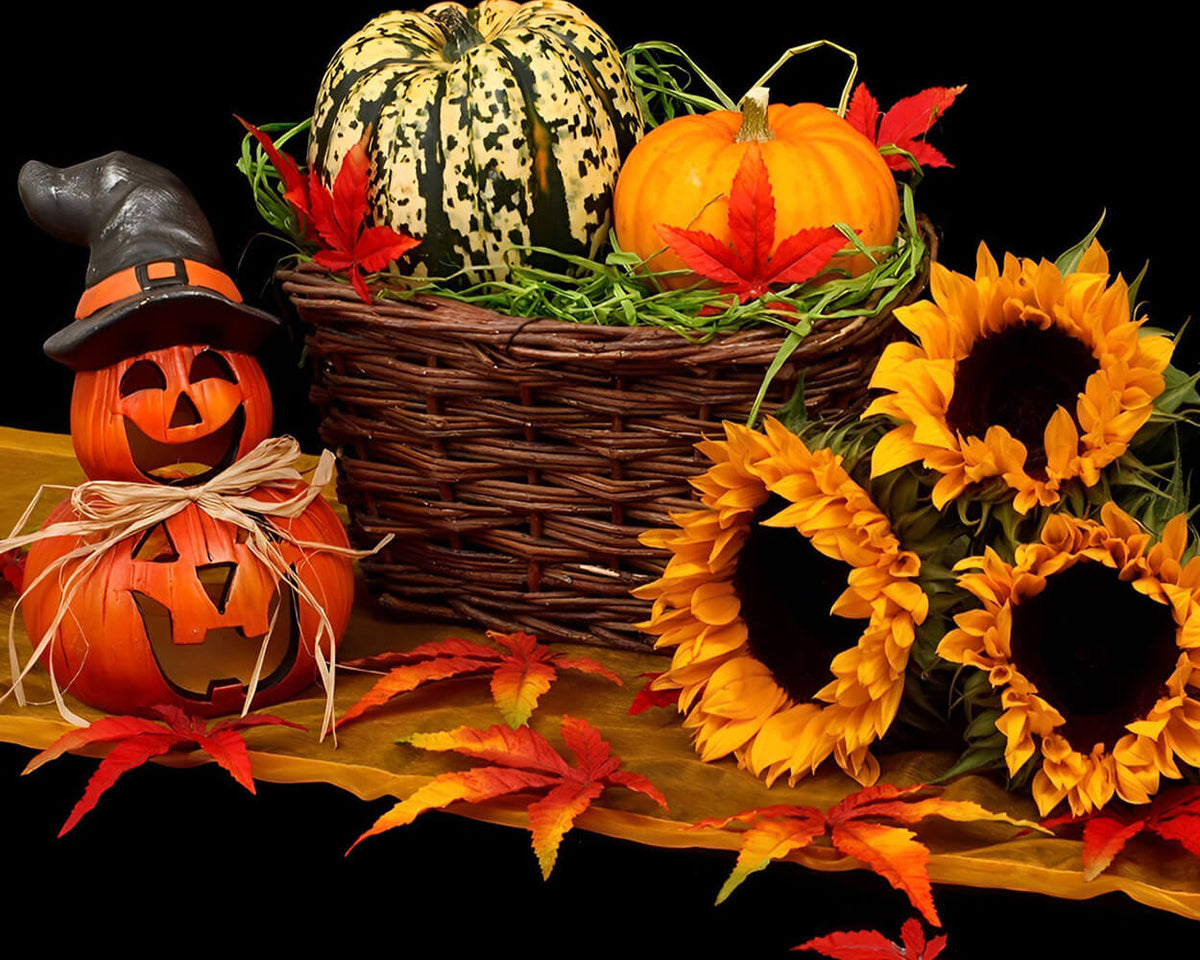 Autumnal pumpkin and sunflower still life cross stitch kit for beginners