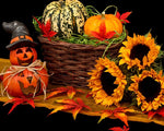 Autumnal pumpkin and sunflower still life cross stitch kit for beginners