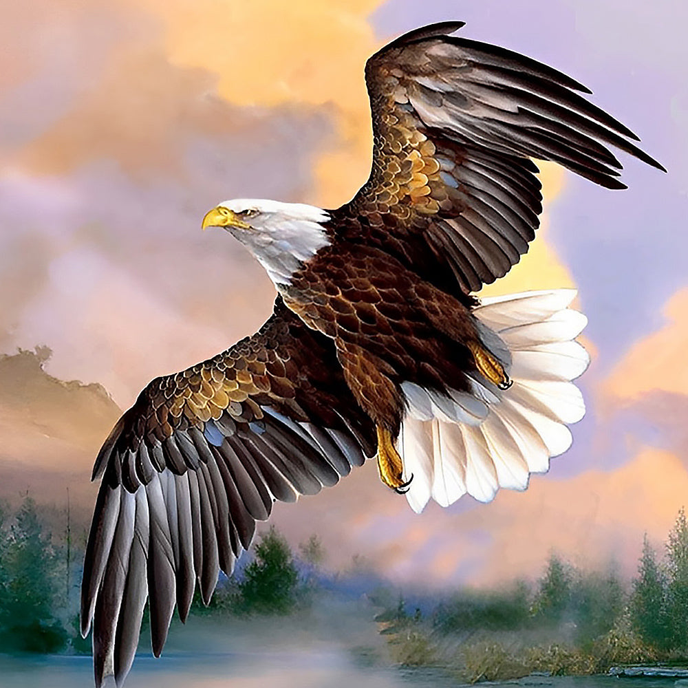 Bald eagle flying at sunset cross stitch kit for beginners