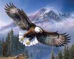 Bald eagle flying over snowy mountains cross stitch kit for beginners