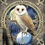 Barn owl with pentagram cross stitch kit for beginners