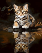 Bengal kitten and water reflection cross stitch kit for beginners