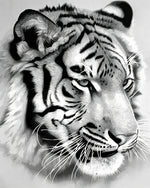Black and white tiger sketch cross stitch kit for beginners