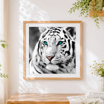 Finished black and white white tiger with blue eyes cross stitch artwork displayed