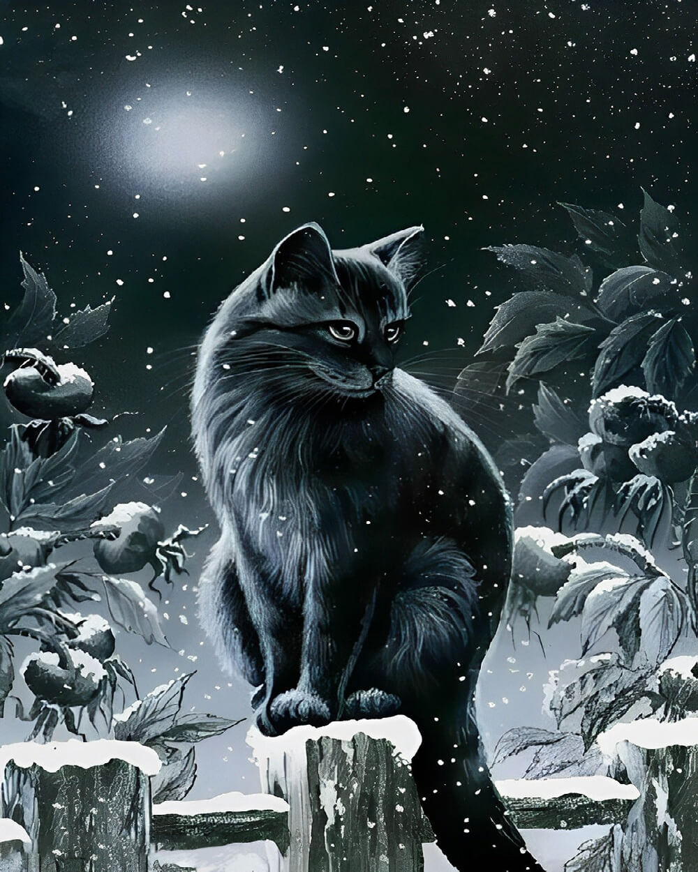 Black cat in snowy night cross stitch kit for beginners