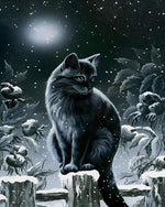Black cat in snowy night cross stitch kit for beginners