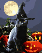 Black cat in witch hat with full moon cross stitch kit for beginners