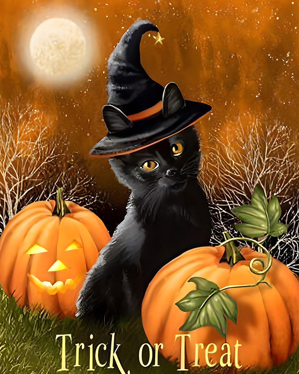 Black cat in witch hat with pumpkins cross stitch kit for beginners