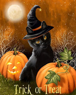 Black cat in witch hat with pumpkins cross stitch kit for beginners