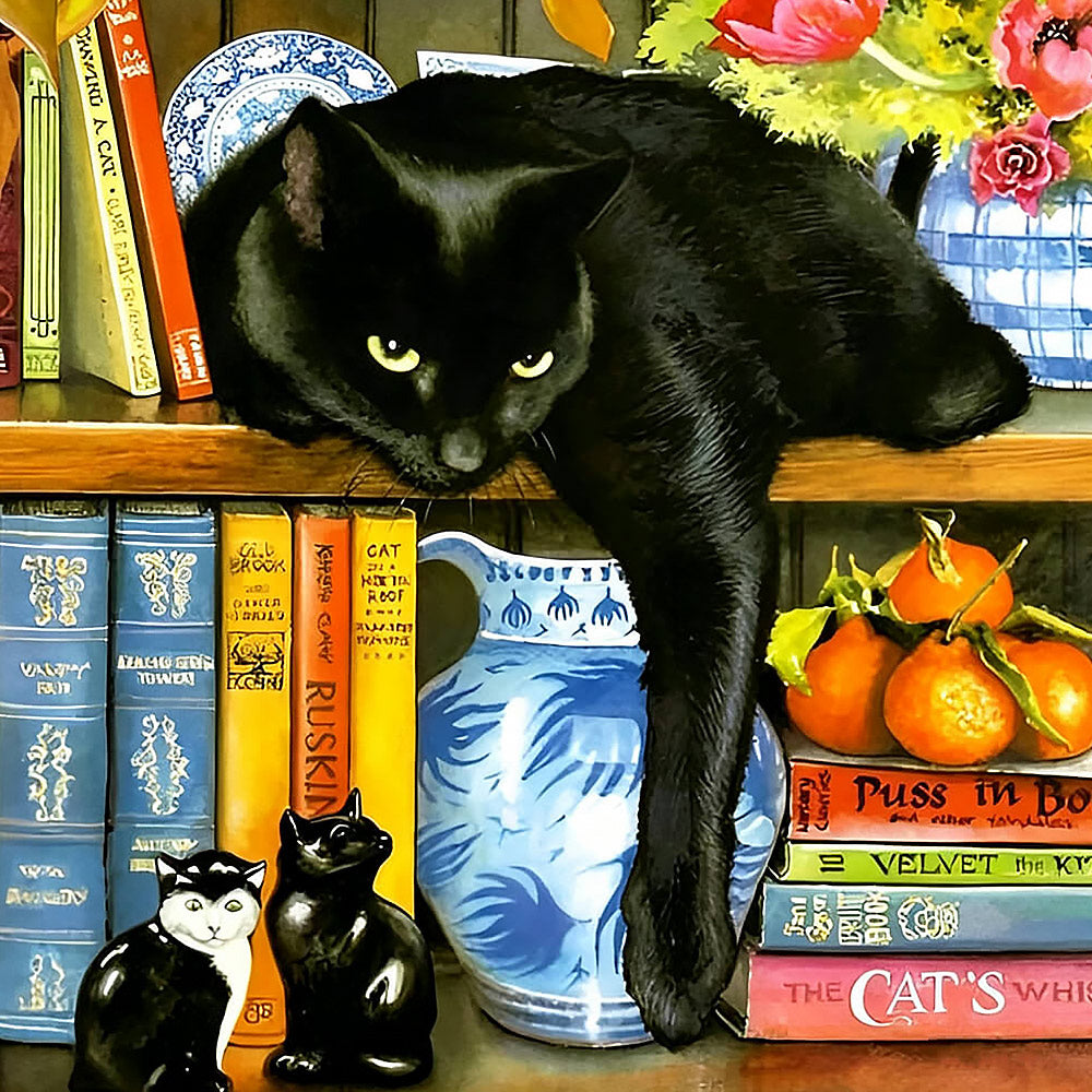 Black cat lounging on a bookshelf paint by numbers kit for beginners