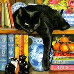 Black cat lounging on a bookshelf paint by numbers kit for beginners