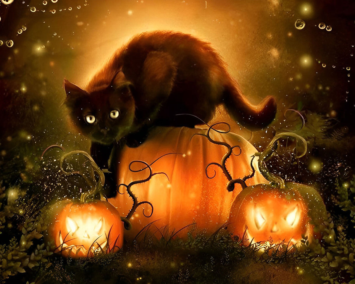 Black cat on glowing pumpkins cross stitch kit for beginners