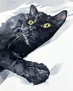 Black cat on white sheets cross stitch kit for beginners