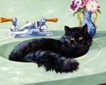 Black cat sitting in a green sink cross stitch kit for beginners
