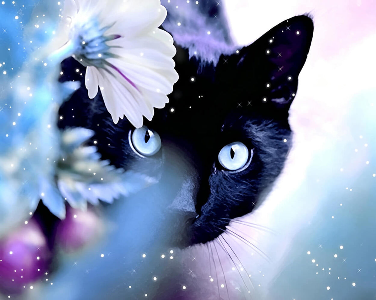 Black cat with white flower cross stitch kit for beginners