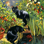 Black cats in garden with koi fish cross stitch kit for beginners