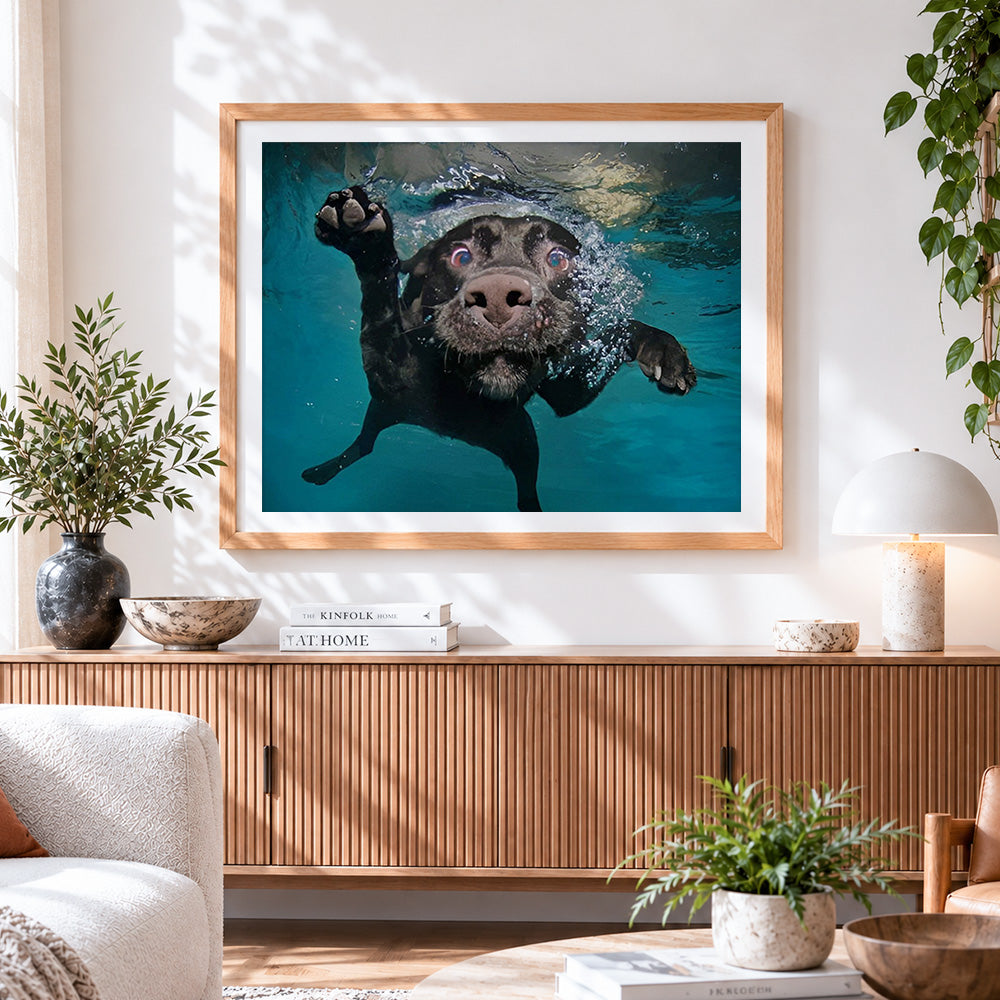 Finished black labrador swimming underwater cross stitch artwork displayed