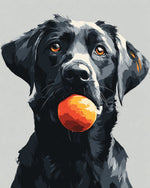 Black labrador with ball cross stitch kit for beginners