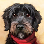 Black schnauzer with red scarf cross stitch kit for beginners