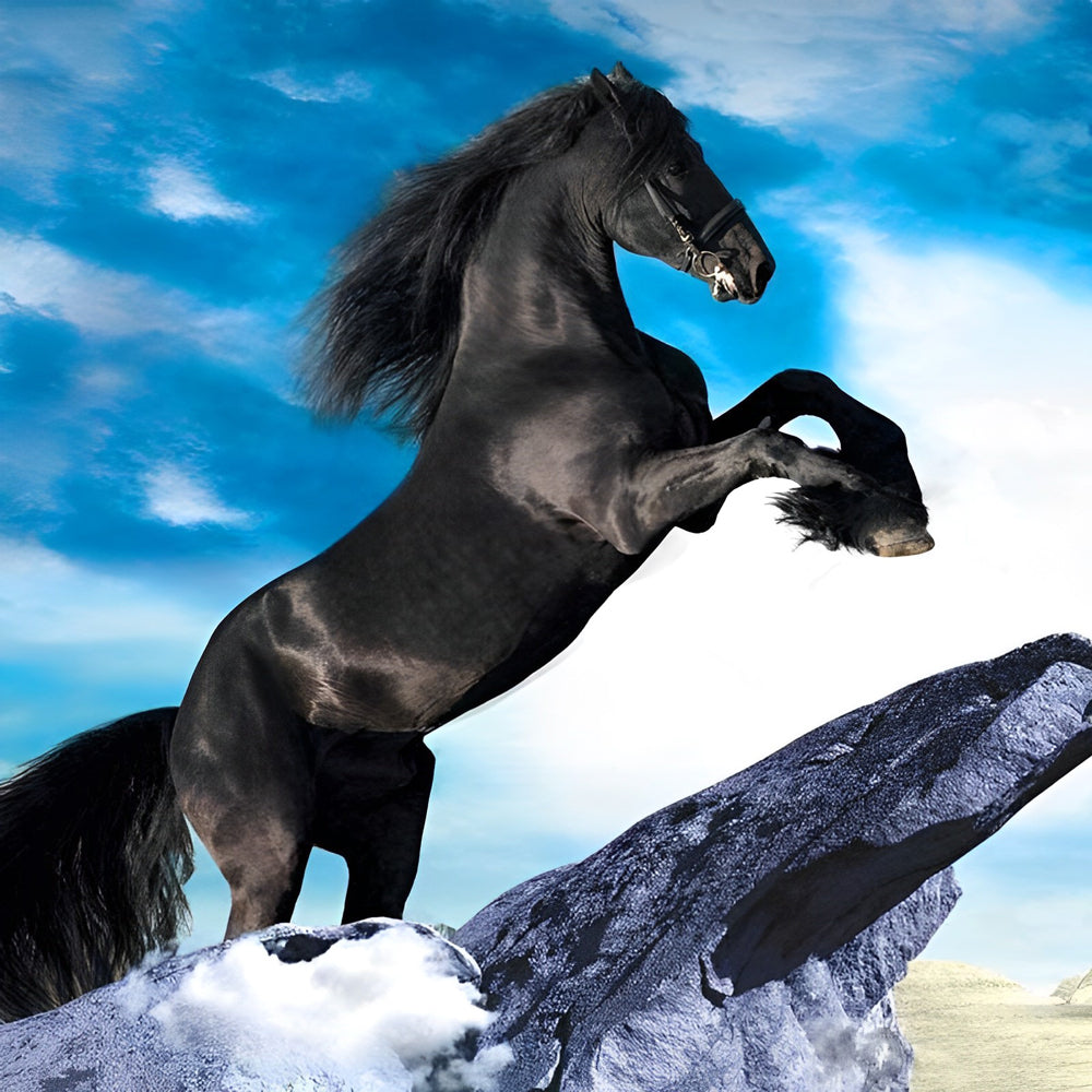 Black stallion horse cross stitch kit for beginners