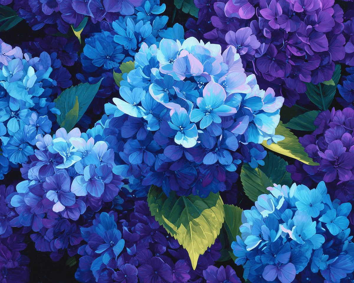 Blue and purple hydrangea close up paint by numbers kit for beginners