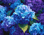 Blue and purple hydrangea close up paint by numbers kit for beginners