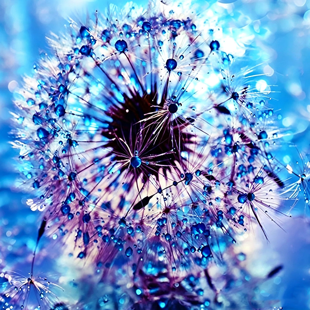 Blue dandelion with water droplets paint by numbers kit for beginners