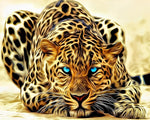 Blue eyed leopard paint by numbers kit for beginners