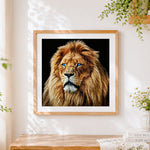 Finished blue eyed male lion cross stitch artwork displayed
