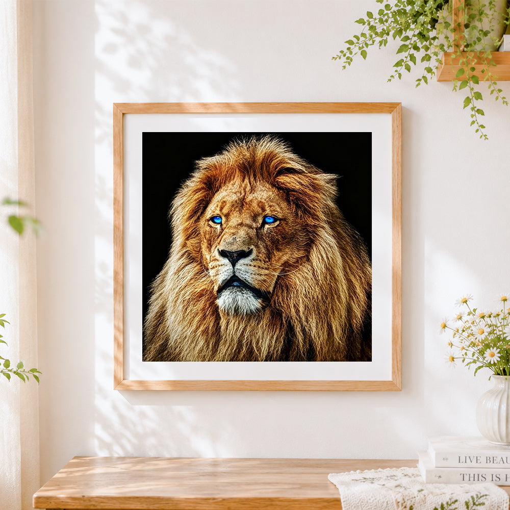 Finished blue eyed male lion cross stitch artwork displayed