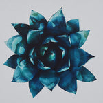 Blue succulent plant cross stitch kit for beginners