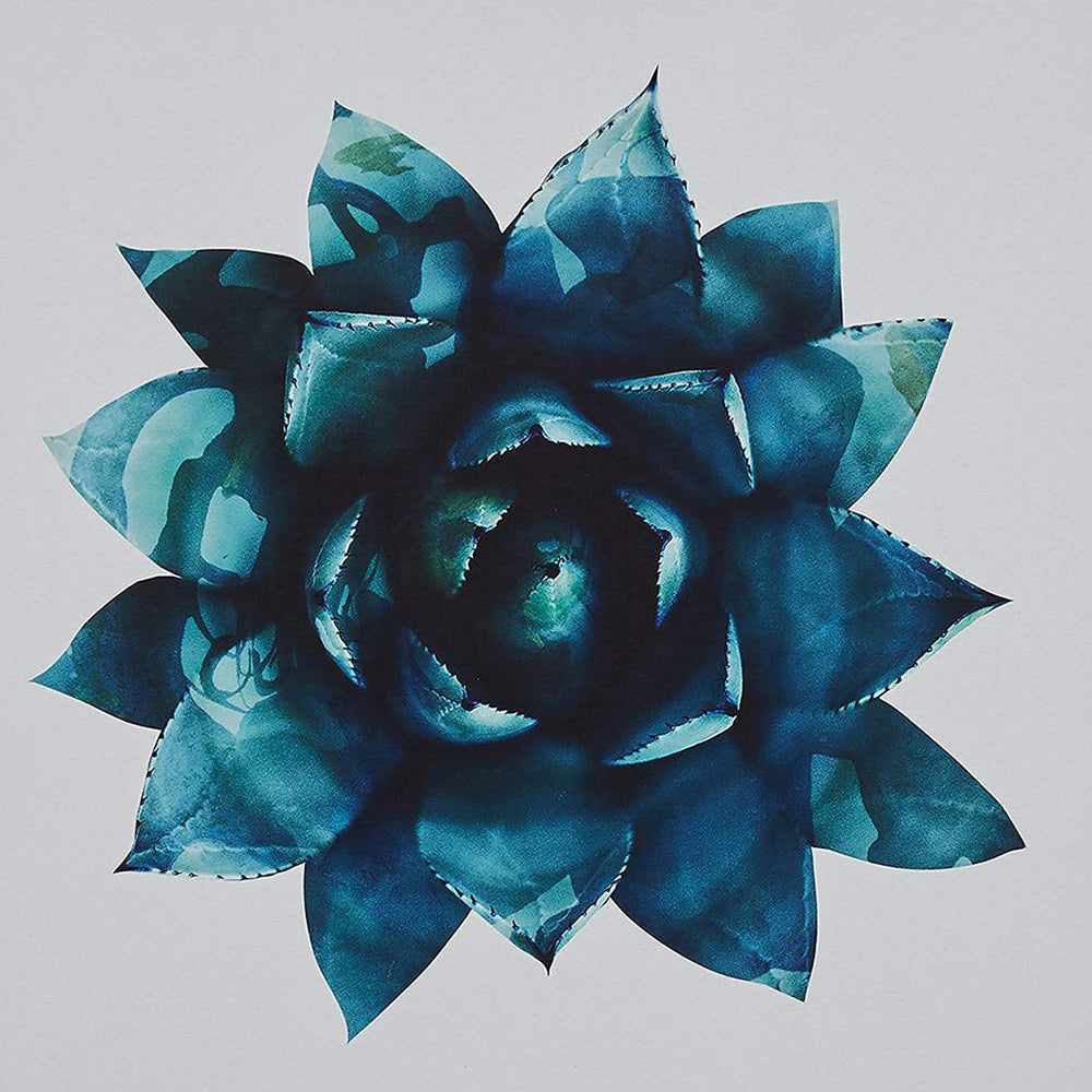 Blue succulent plant cross stitch kit for beginners
