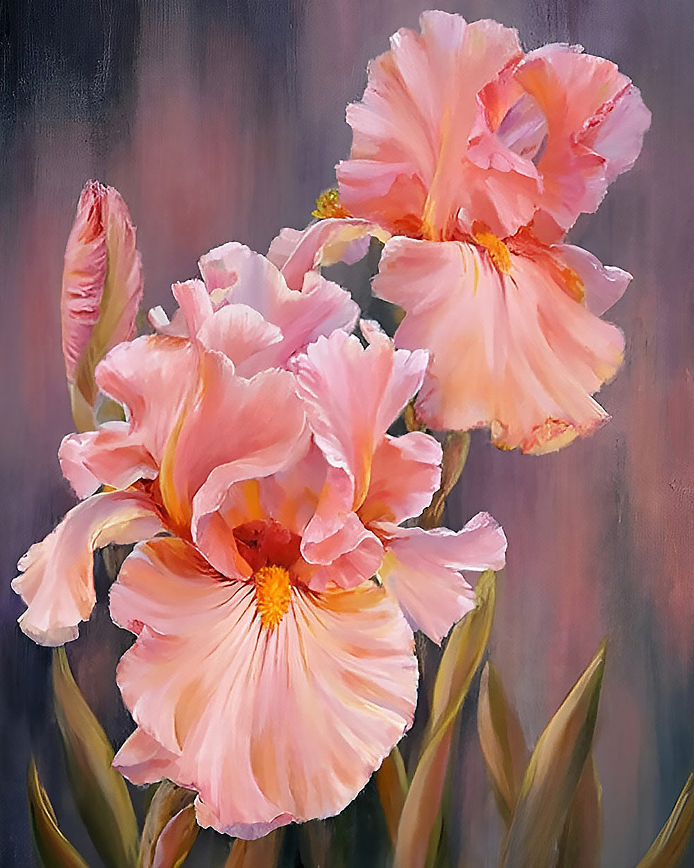 Blush pink irises cross stitch kit for beginners